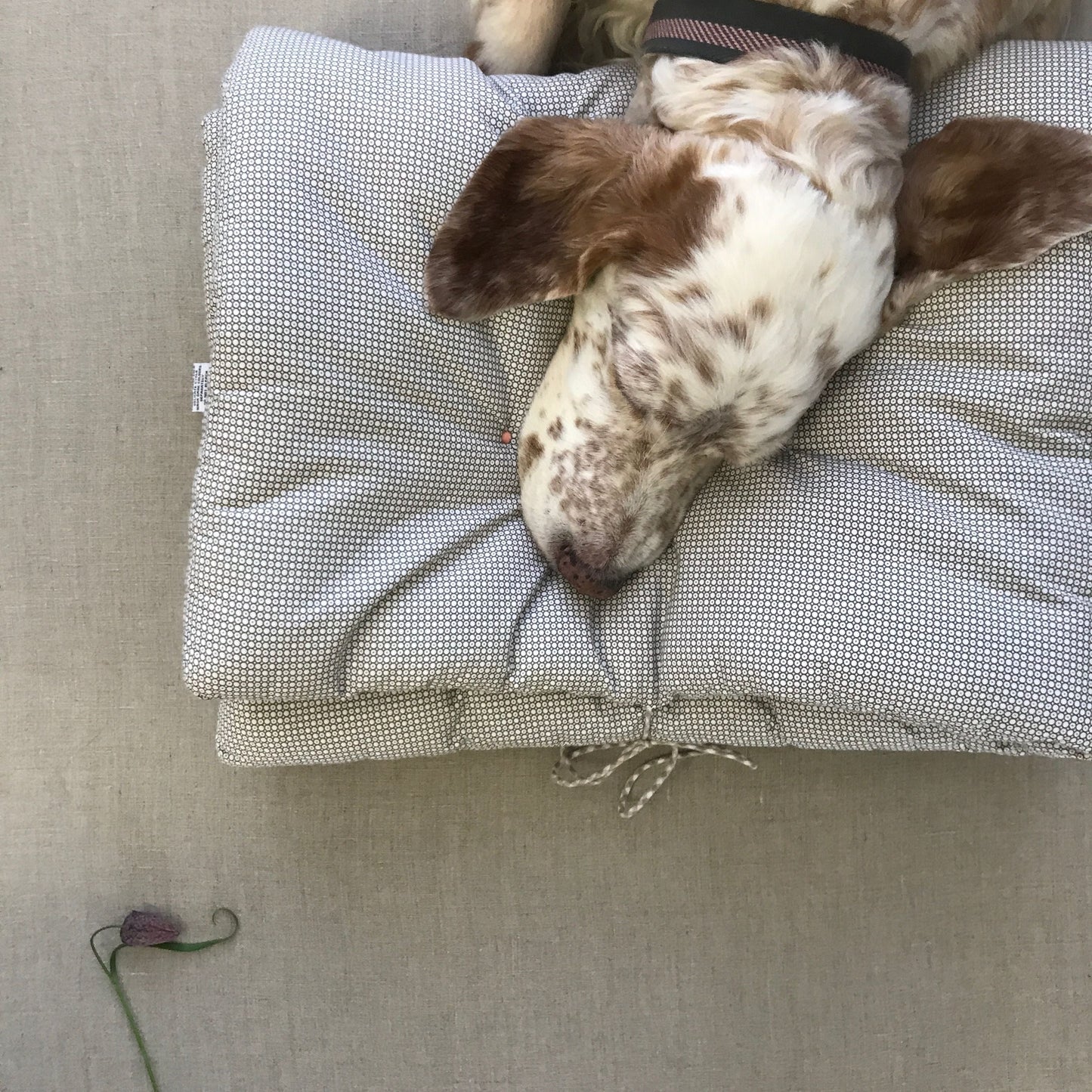 Poesy Quilt