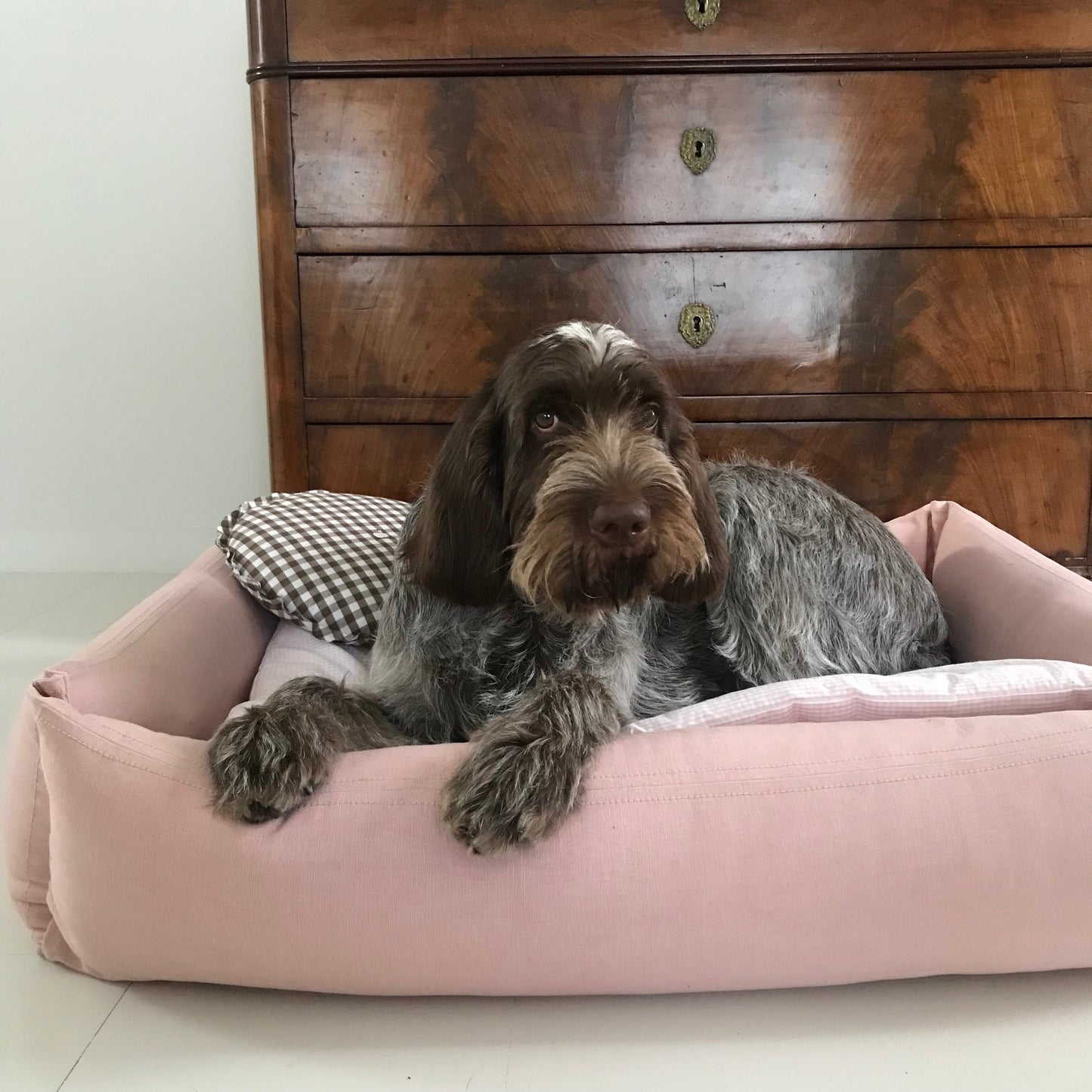 Classic Dog Bed